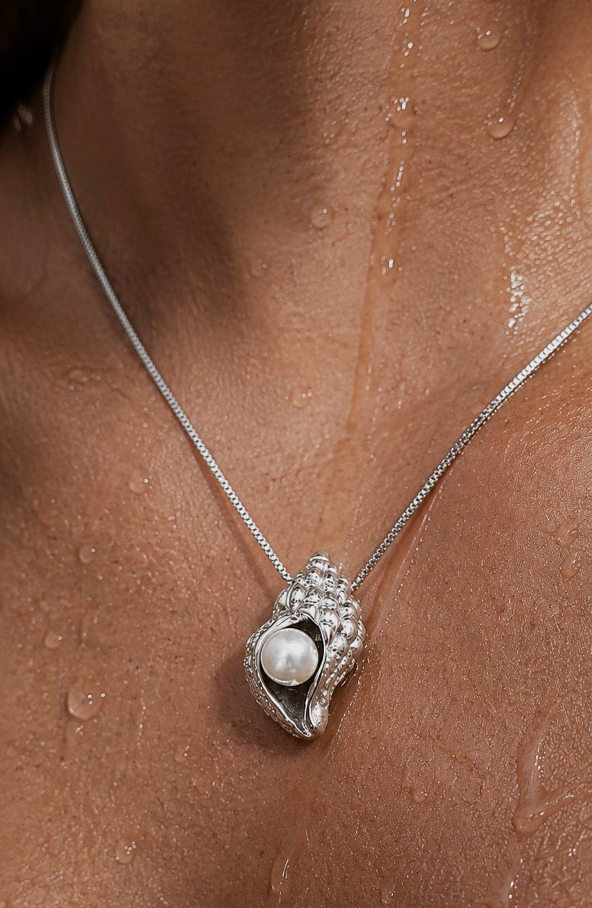 Seashell