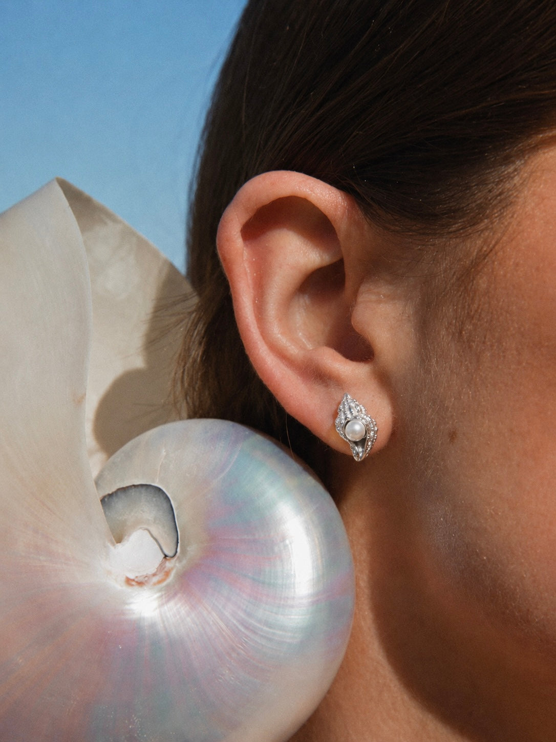 She sells seashells